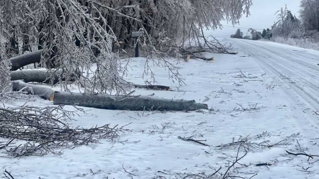 Branches, limbs and even whole trees were toppled by the ice storms that hit northern Michigan beginning March 29, 2025. Here, debris lies along the side of Polish Line Road in Cheboygan.