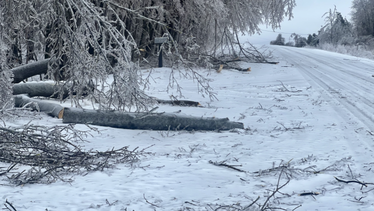 Branches, limbs and even whole trees were toppled by the ice storms that hit northern Michigan beginning March 29, 2025. Here, debris lies along the side of Polish Line Road in Cheboygan.