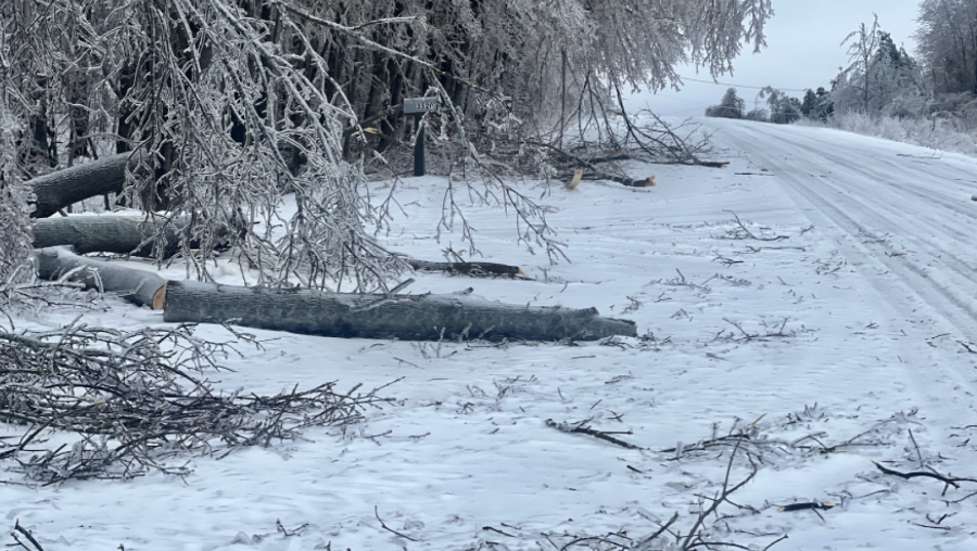 Branches, limbs and even whole trees were toppled by the ice storms that hit northern Michigan beginning March 29, 2025. Here, debris lies along the side of Polish Line Road in Cheboygan.