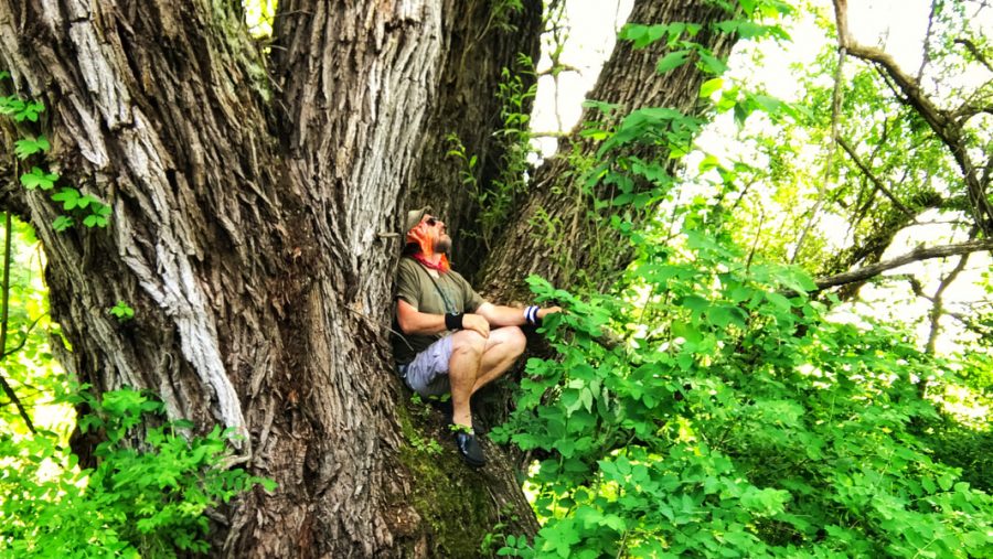 This black willow, submitted by Josh Stoltz, was awarded largest tree in Benzie County during the 2022 Big Tree Hunt.