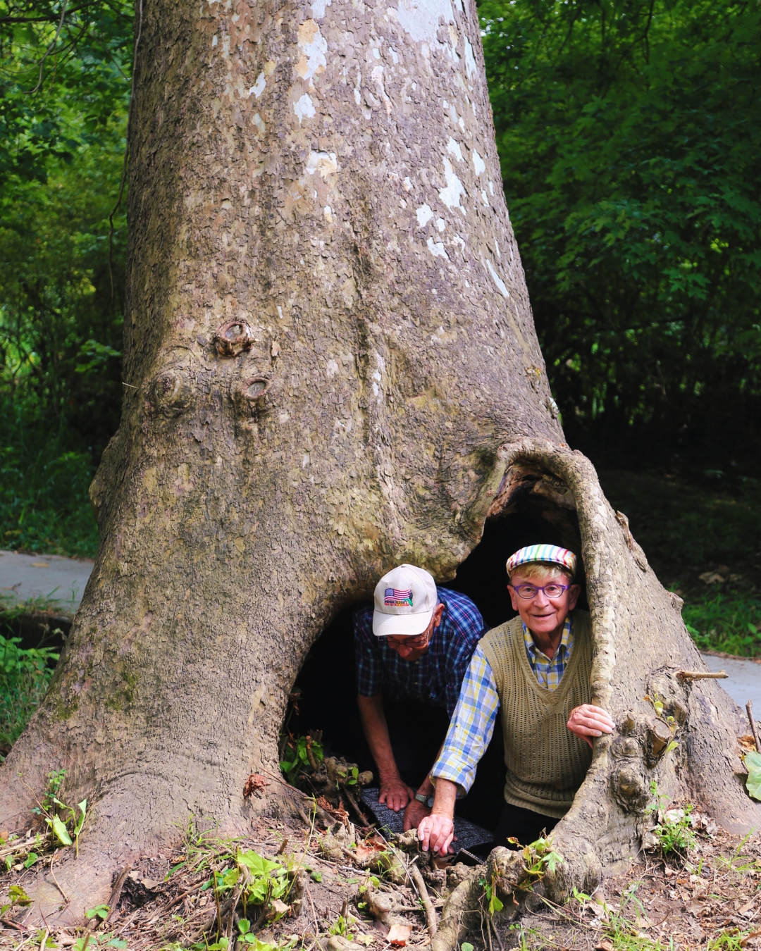 bigtreesfb