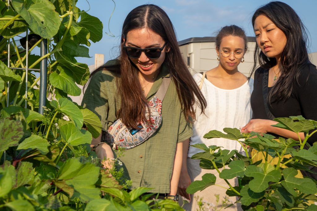 Three women gather around green herb and vegetable plants.