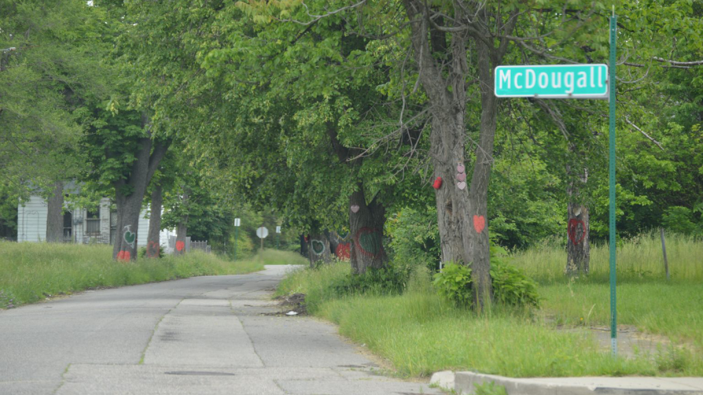 A tree lined street in Detroit.