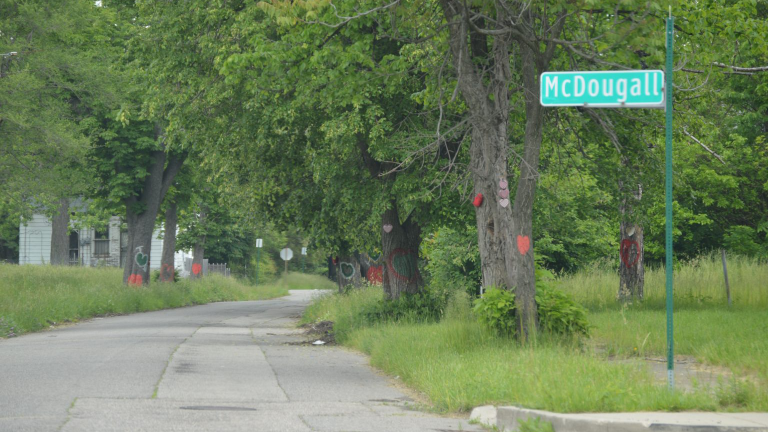A tree lined street in Detroit.