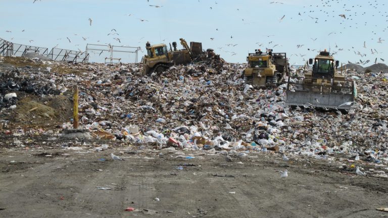 Trash_Landfill