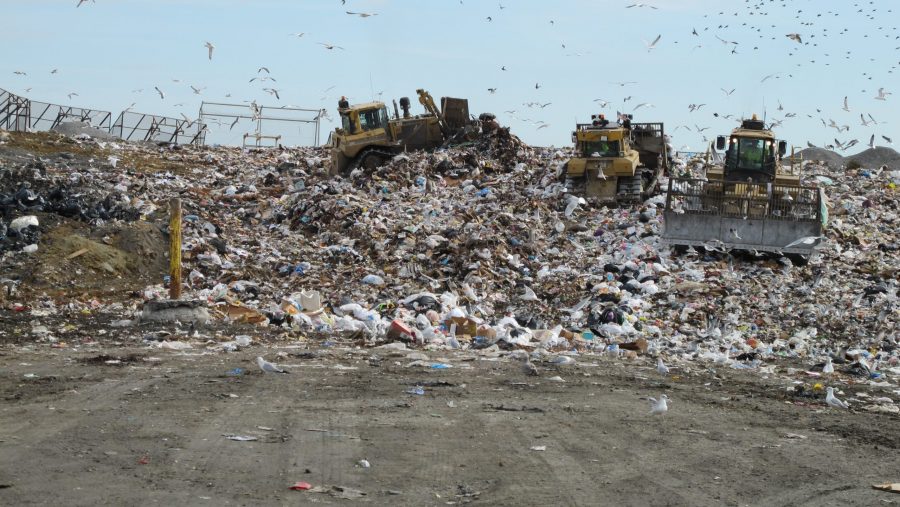 Trash_Landfill