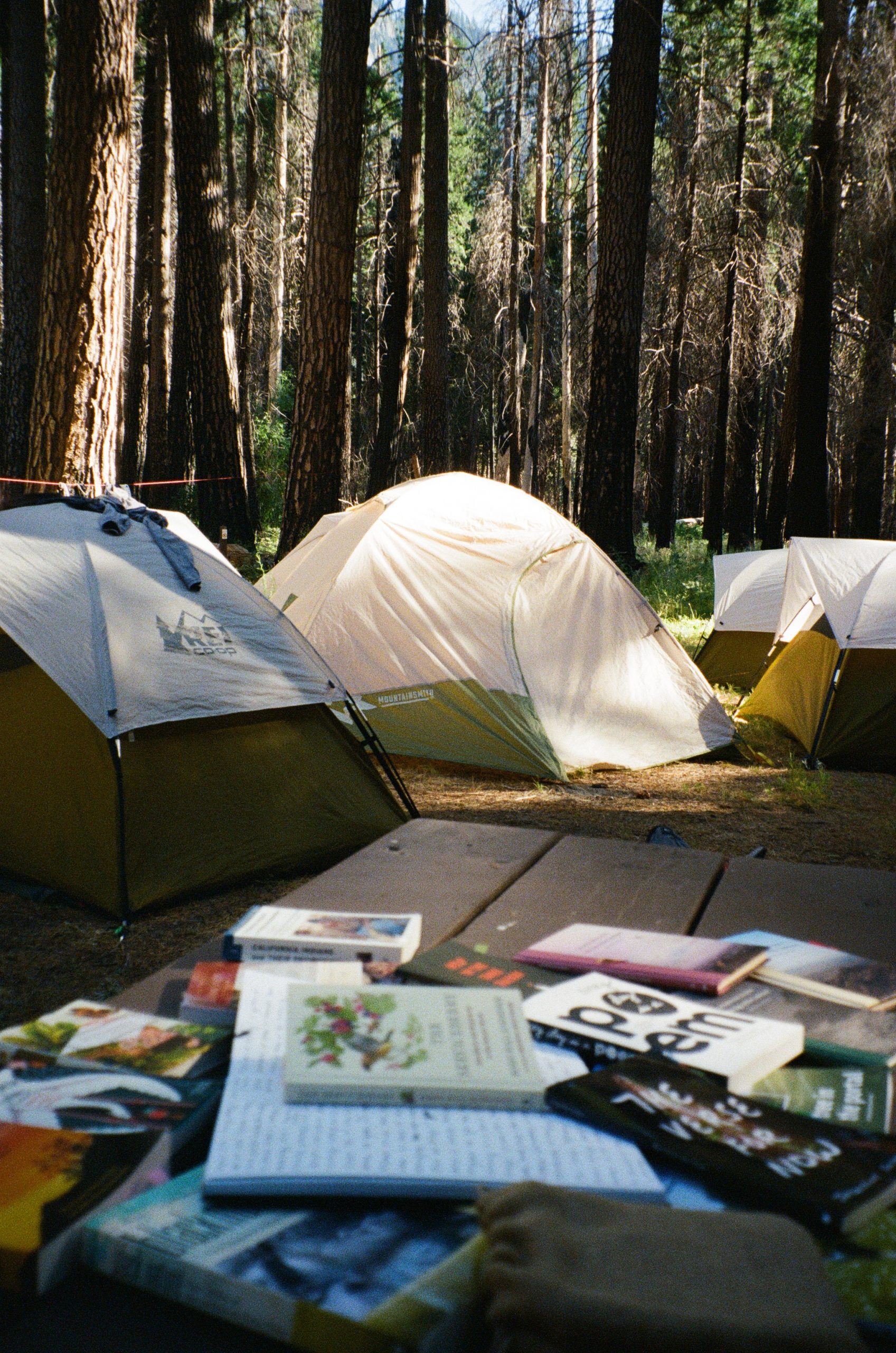 Poetry books on a picnic table at a campsite in the woods