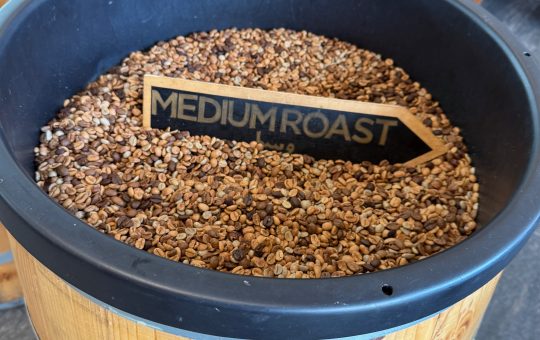 A barrel of medium roast coffee beans at Qahwah House