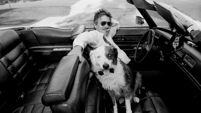 Lost Dogs & Mixed Blessings