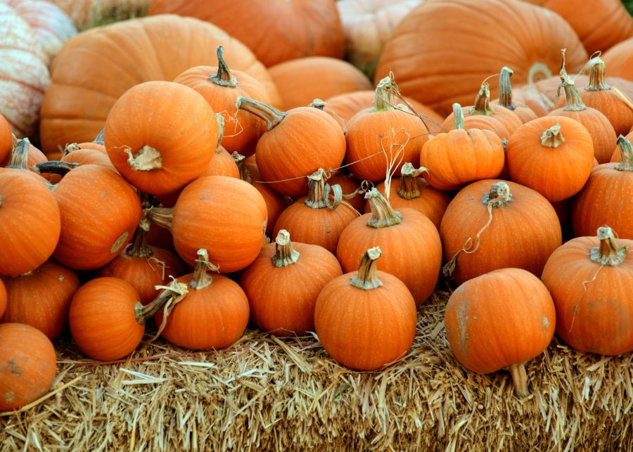 Pumpkins piled up on a haystack