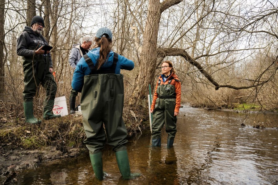 People in waders stand in a shallow river with trees on the banks.