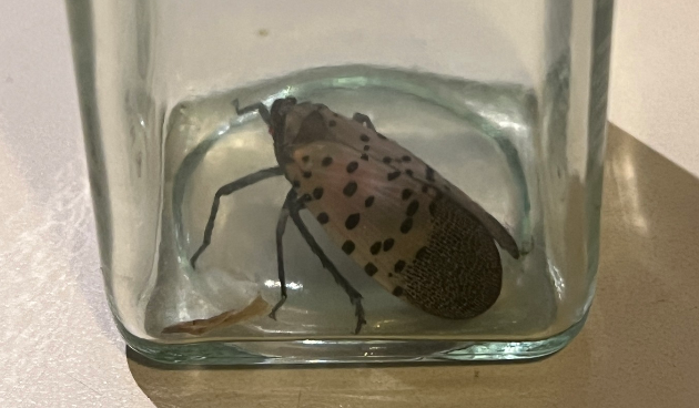 Screenshot 2025-11-20 121750