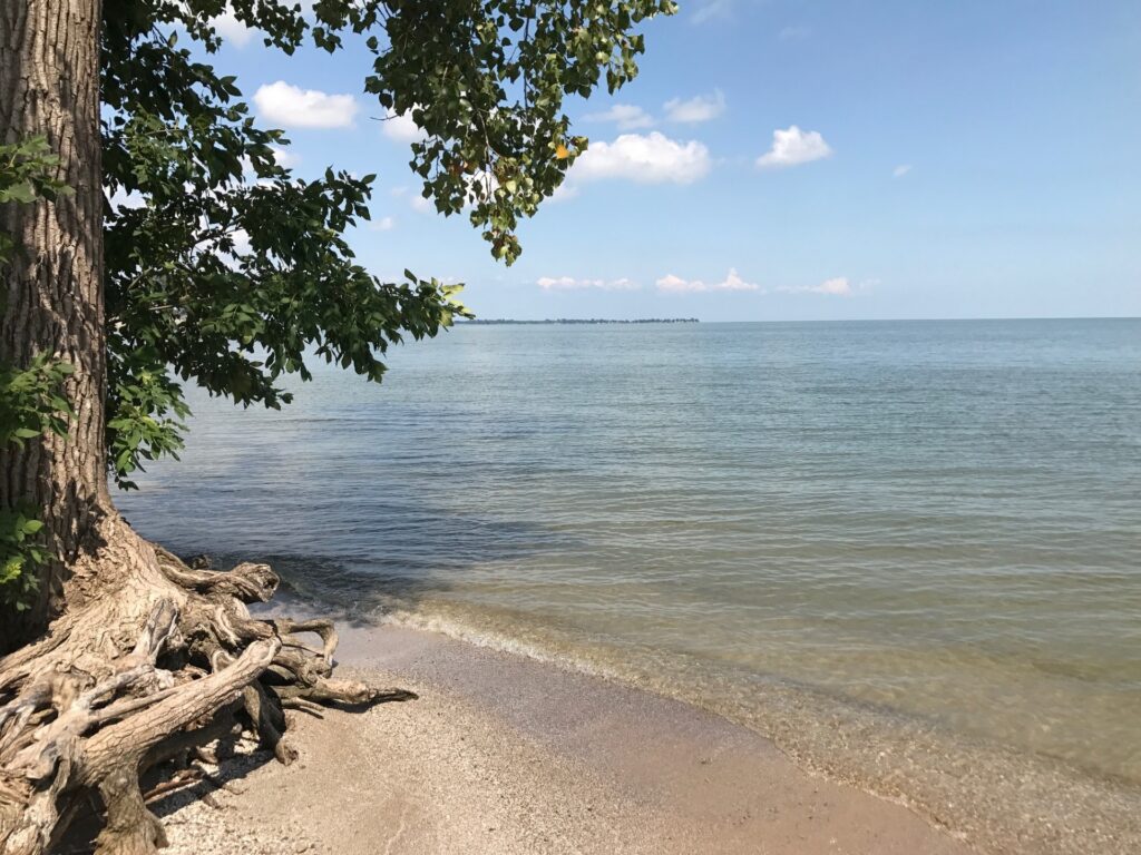 LakeErieView