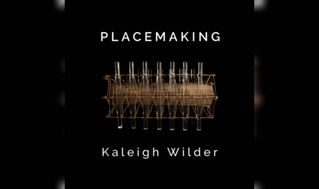 Image of a sculpture in the center over a black background with the name of the album, Placemaking, above and the artist, Kaleigh Wilder, below.
