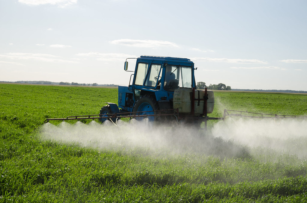 A tractor sprays a mist of herbicide, insecticide or fertilizer on an expanse of green crops.