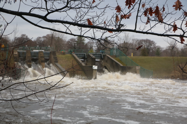 A dam with high rushing waters. Tree branches cross the foreground.
