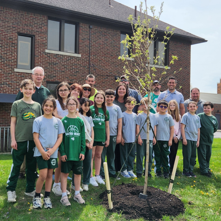 Dearborn Tree - City of Dearborn