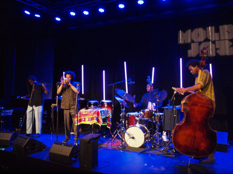 irreversible entanglements
