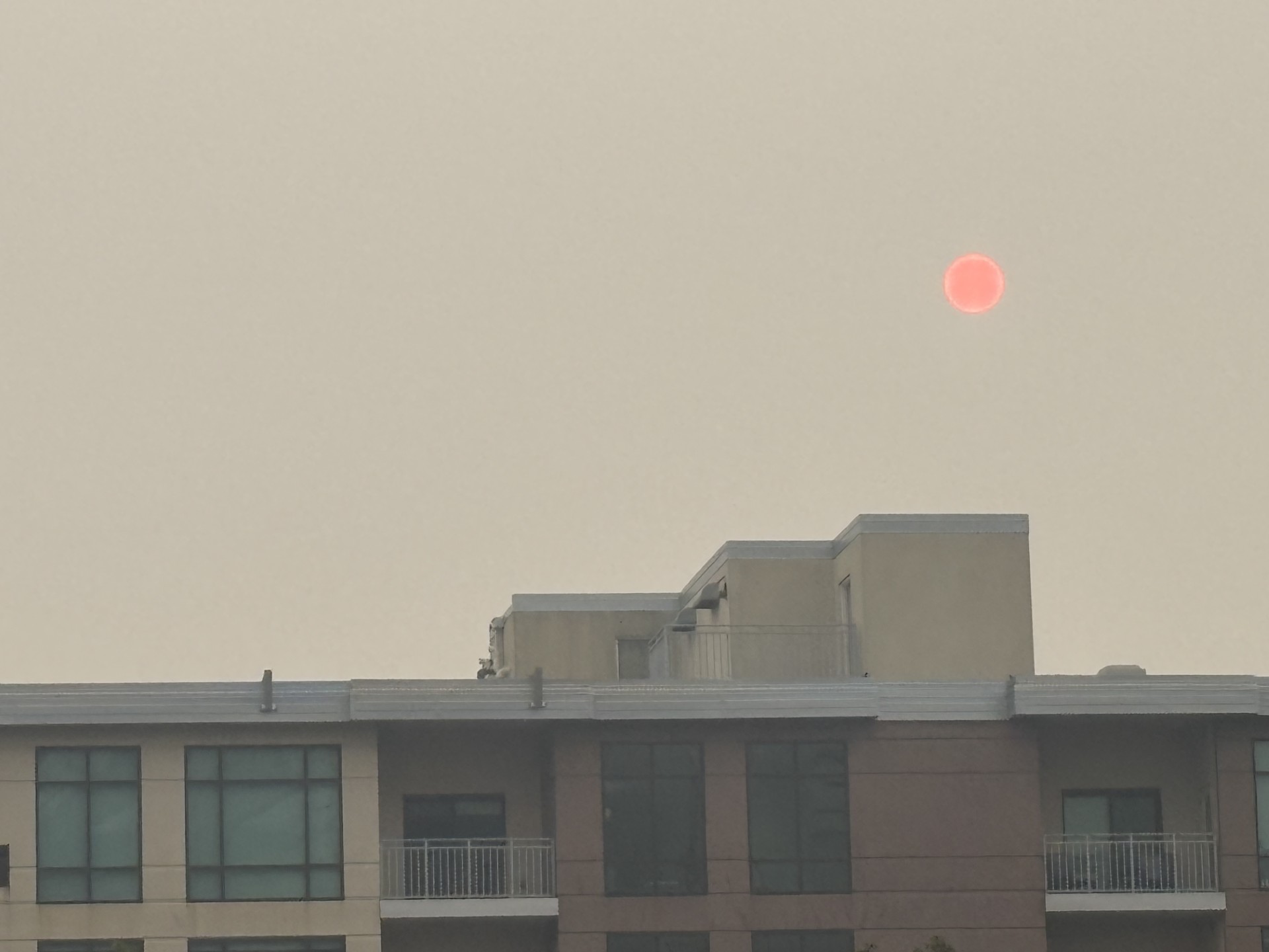 SmokySun