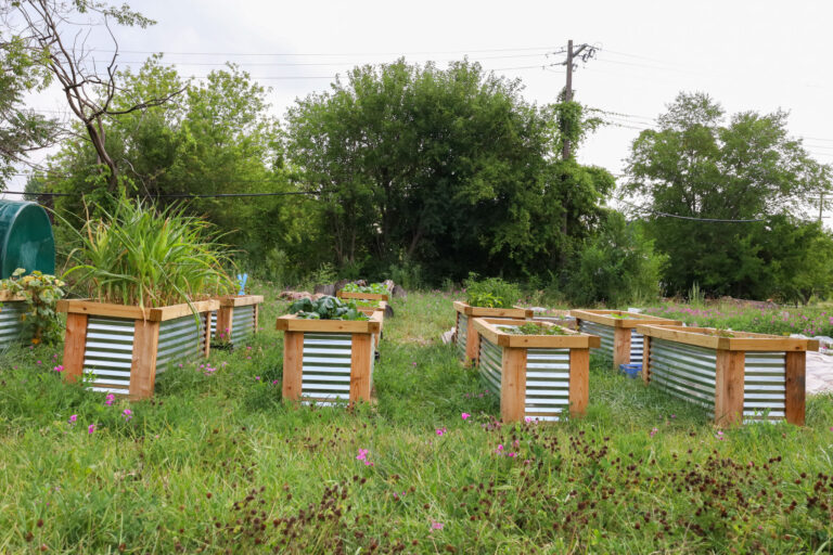 Urban Garden